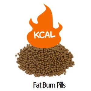 Fat Burn pills